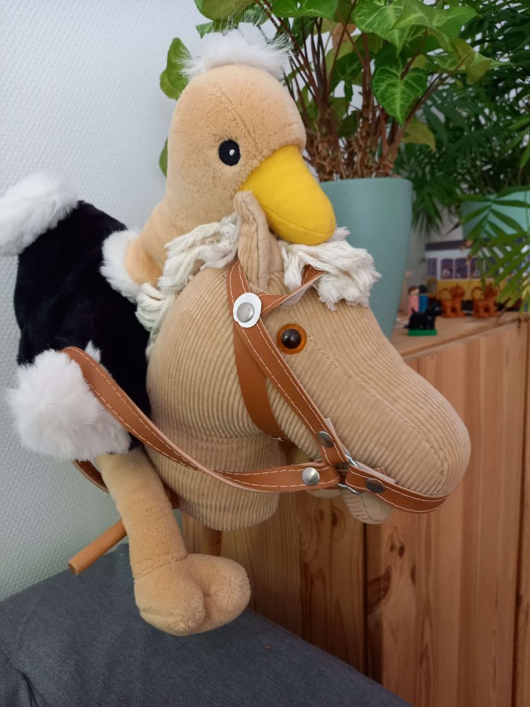 Paard-Struisvogel