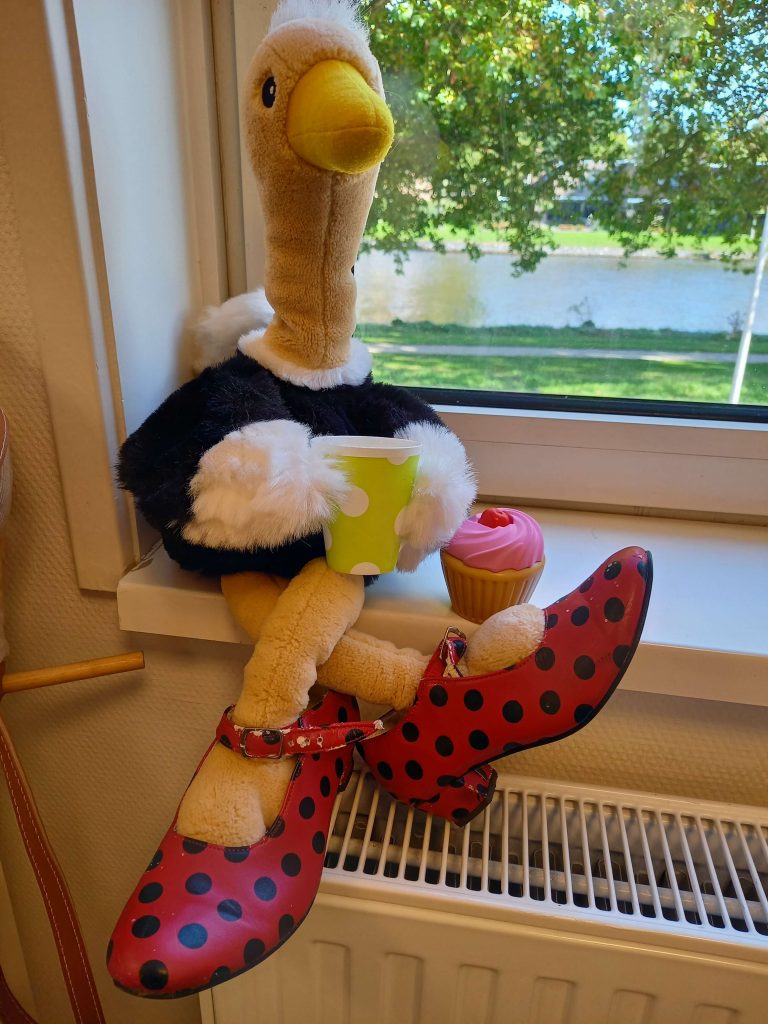 Struisvogel-1